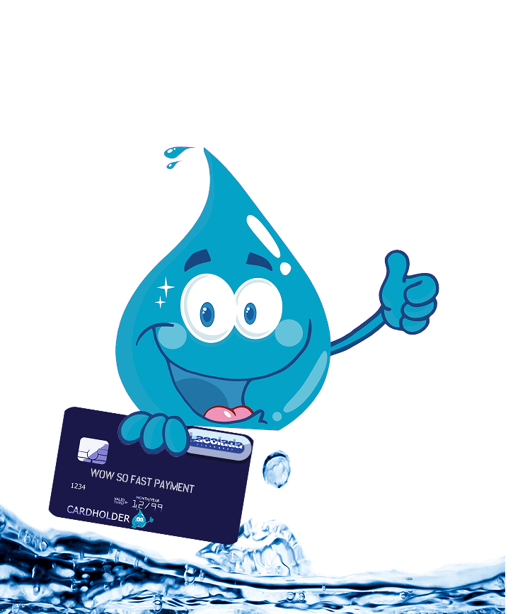 Integracja Zaawansowanych Systemów Płatności